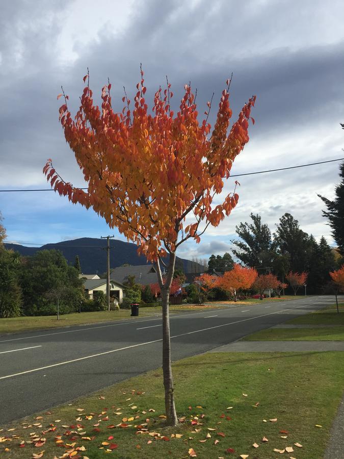 Shakespeare House Bed & Breakfast Te Anau Bagian luar foto